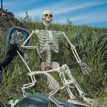 2024 NEW 5 Ft. Life-Size Posable Skeleton Halloween Decoration