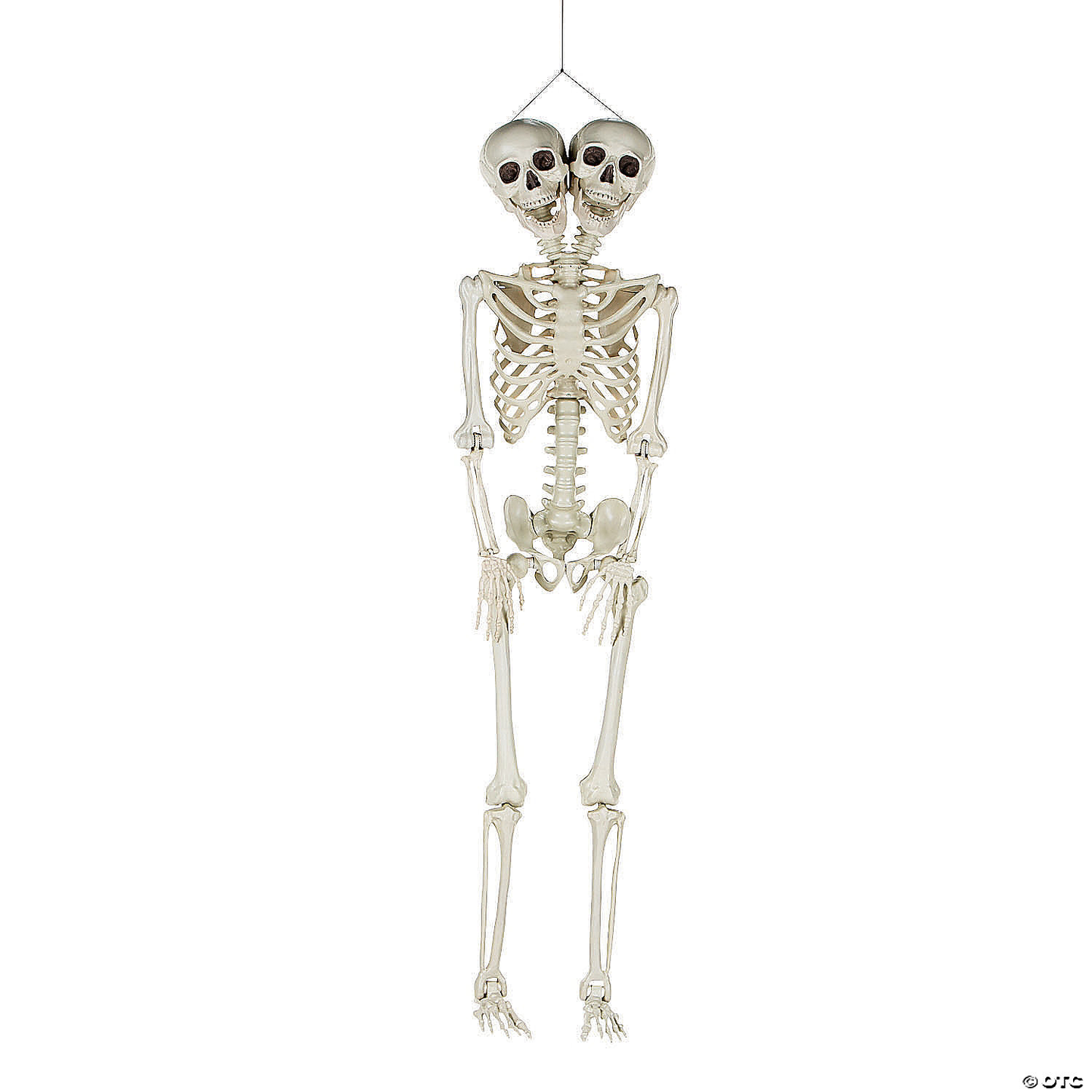 2024 NEW 5 Ft. Two-Headed Life-Size Posable Skeleton Halloween Decoration